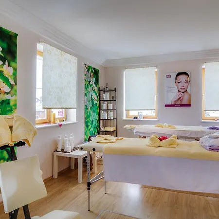 Otel Erzgebirgshotel Freiberger Hoehe Eppendorf (Saxony)