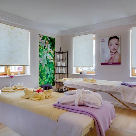 Hotel Erzgebirgshotel Freiberger Hohe Eppendorf (Saxony)