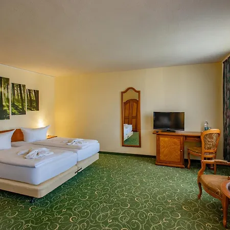 Erzgebirgshotel Freiberger Hohe
