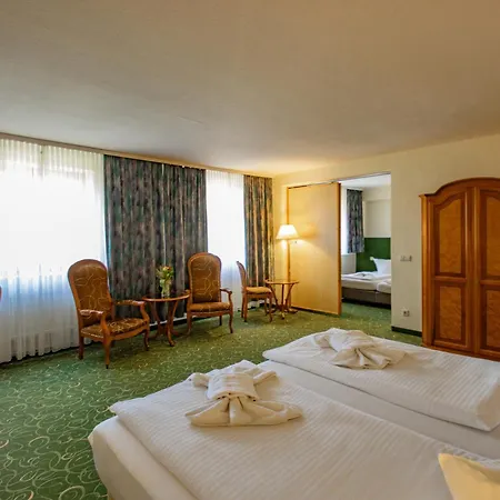 מלון Erzgebirgshotel Freiberger Hoehe Eppendorf (Saxony)