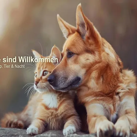 Erzgebirgshotel Freiberger Hoehe Hotel Eppendorf (Saxony)