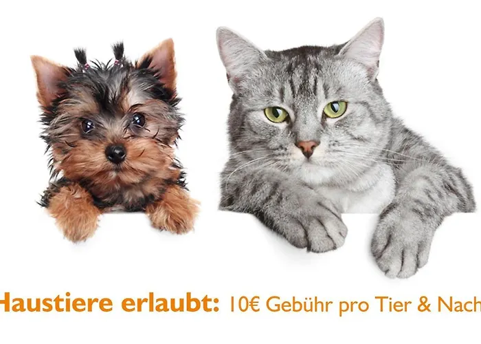 מלון Erzgebirgshotel Freiberger Hoehe Eppendorf (Saxony)