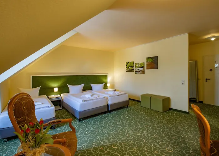 Erzgebirgshotel Freiberger Hoehe מלון 3*