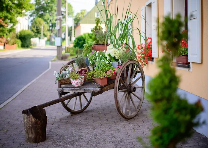 Erzgebirgshotel Freiberger Hoehe מלון 3*